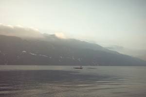 Damien LEMAIRE - DAMIEN LEMAIRE